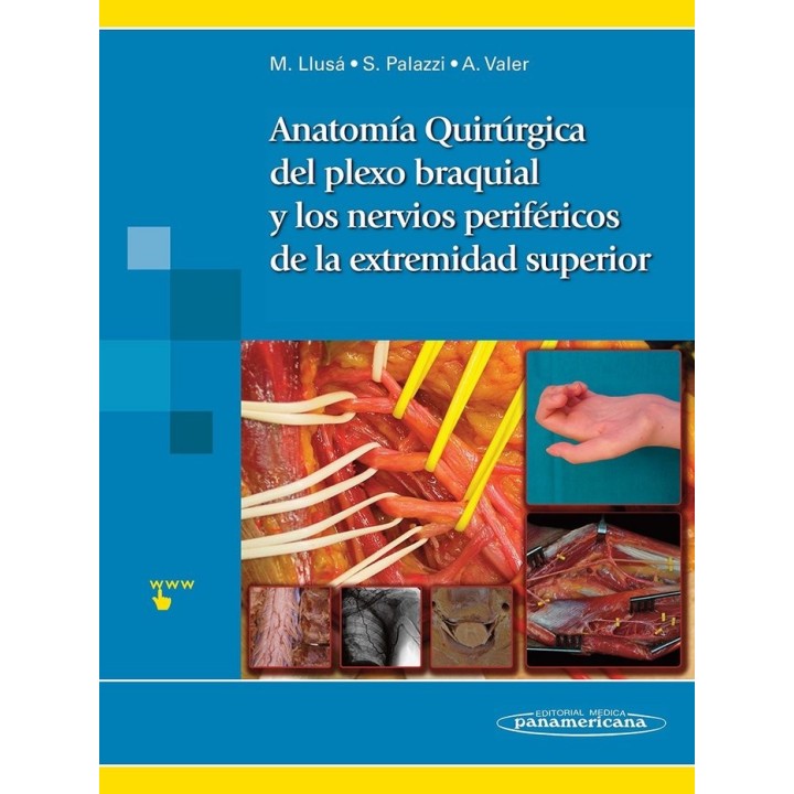 ANATOMIA QUIRURGICA DEL PLEXO BRAQUIAL Y NERVIOS PERIFERICOS