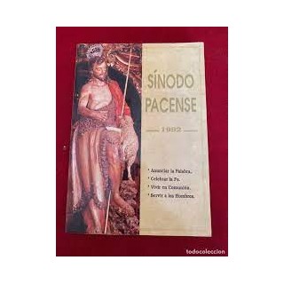 Constituciones del Sínodo Pacense de 1992