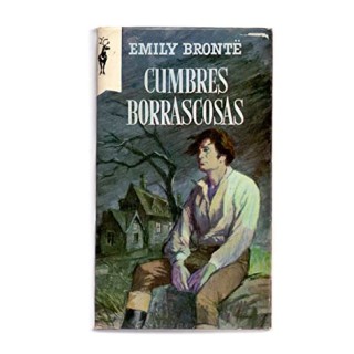 CUMBRES BORRASCOSAS.