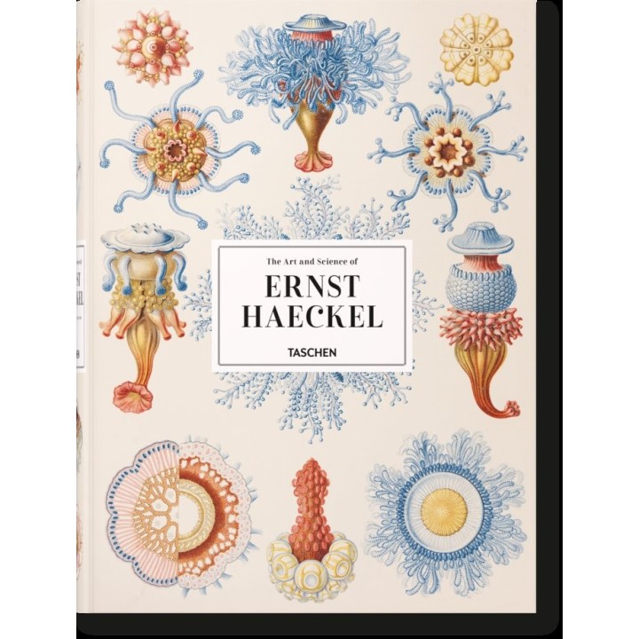 ERNST HAECKEL (IN/AL/FR)