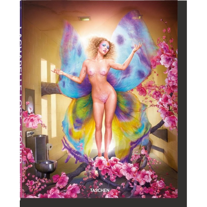 DAVID LACHAPELLE LOST + FOUND