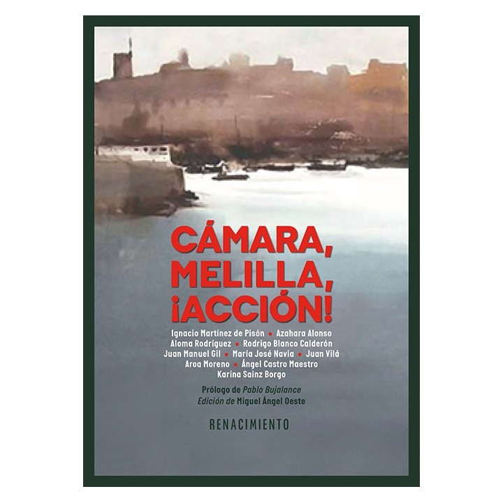 CAMARA MELILLA ACCION