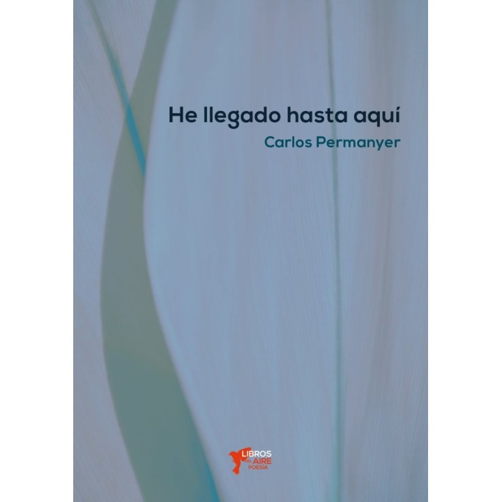 HE LLEGADO HASTA AQUI