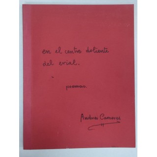 En el Centro Doliente del Erial