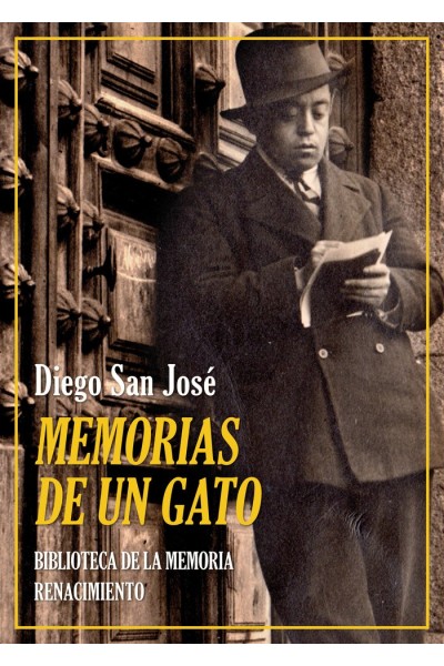 MEMORIAS DE UN GATO