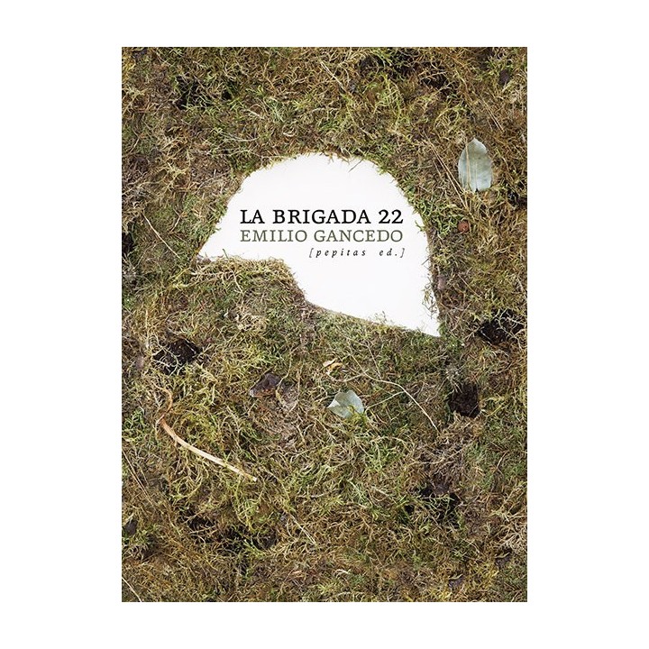 BRIGADA 22,LA