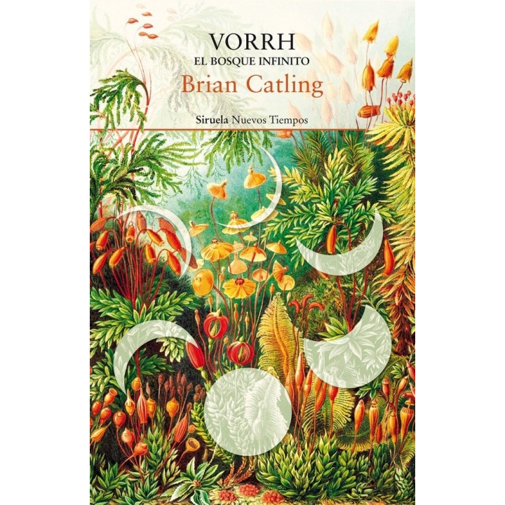 VORRH EL BOSQUE INFINITO