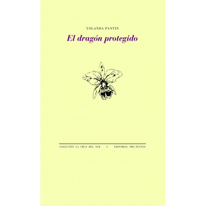 EL DRAGON PROTEGIDO