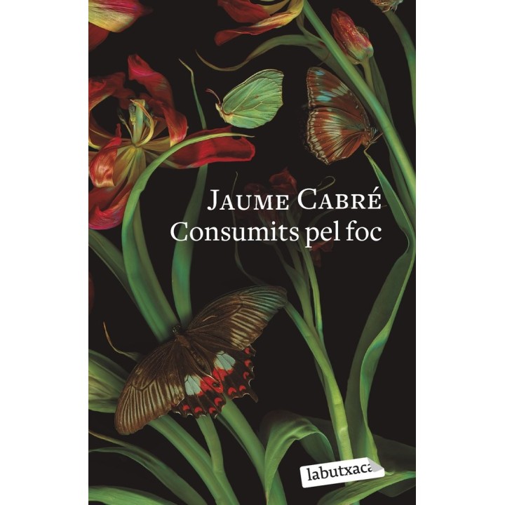 CONSUMITS PEL FOC