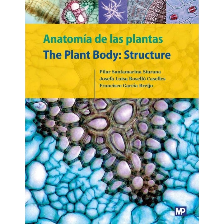 ANATOMIA DE LAS PLANTAS/THE PLANT BODY: STRUCTURE