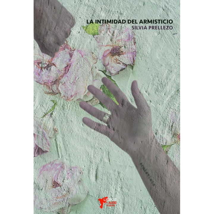 INTIMIDAD DEL ARMISTICIO ,LA