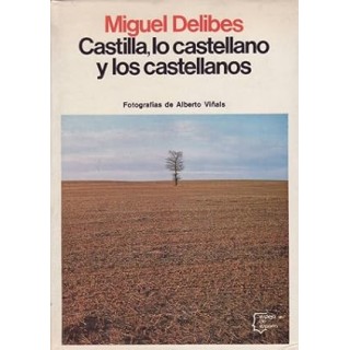 Castilla, Lo Castellano Y Los Castellanos