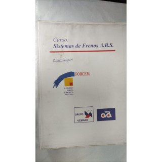CURSO SISTEMAS DE FRENOS A.B.S. Promovido por FORCEM (Fundación para la promoción continua). Grupo Vemare