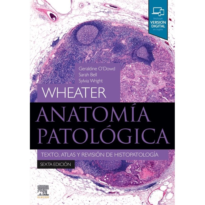 ANATOMIA PATOLOGICA