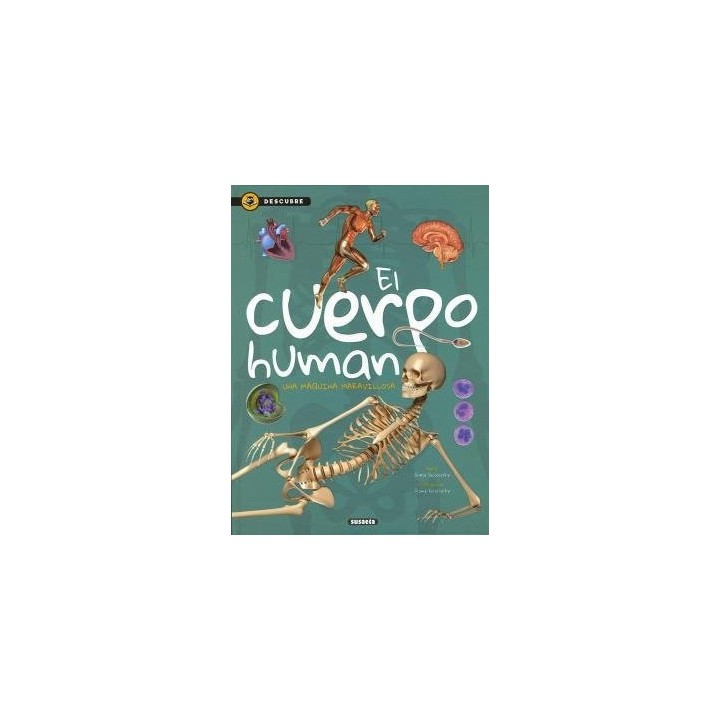 CUERPO HUMANO,EL