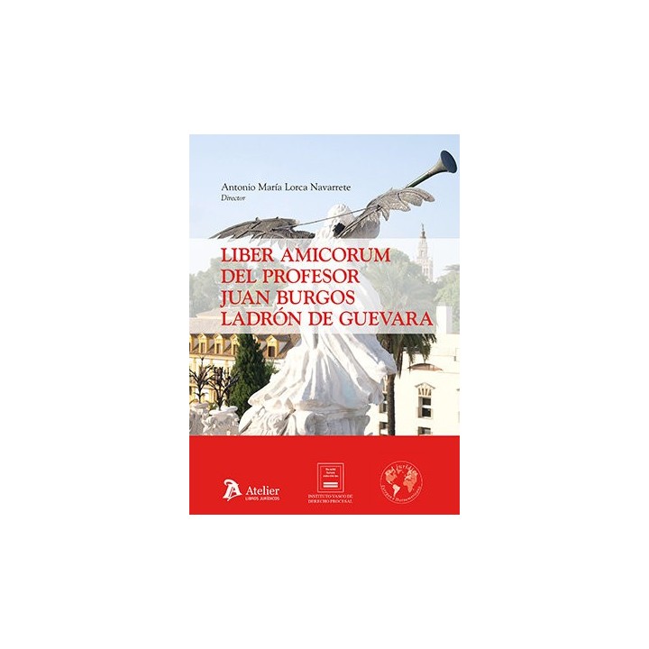 LIBER AMICORUM DEL PROFESOR JUAN BURGOS LADRON DE GUEVARA