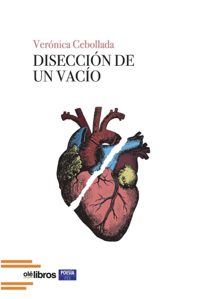 DISECCION DE UN VACIO