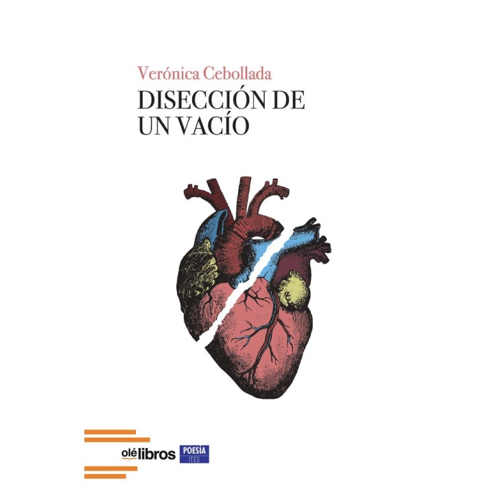 DISECCION DE UN VACIO