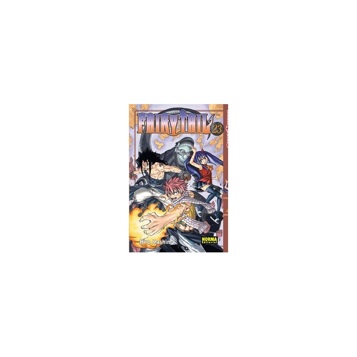 FAIRY TAIL 23