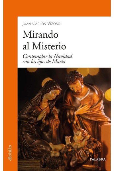 MIRANDO AL MISTERIO
