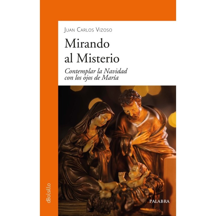 MIRANDO AL MISTERIO