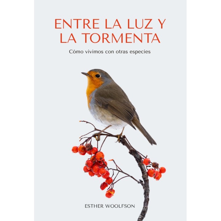 ENTRE LA LUZ Y LA TORMENTA