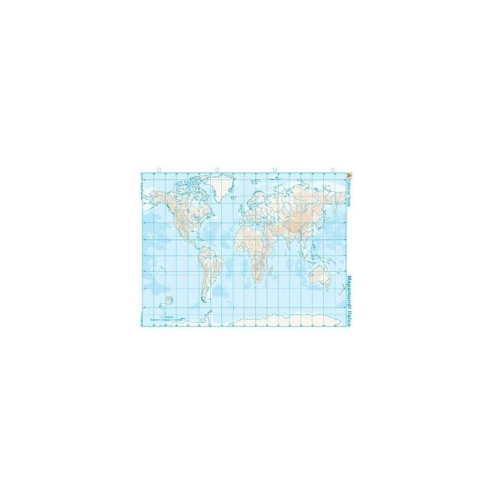 MAPA MUDO PLANISFERIO FISICO (100 UDS)