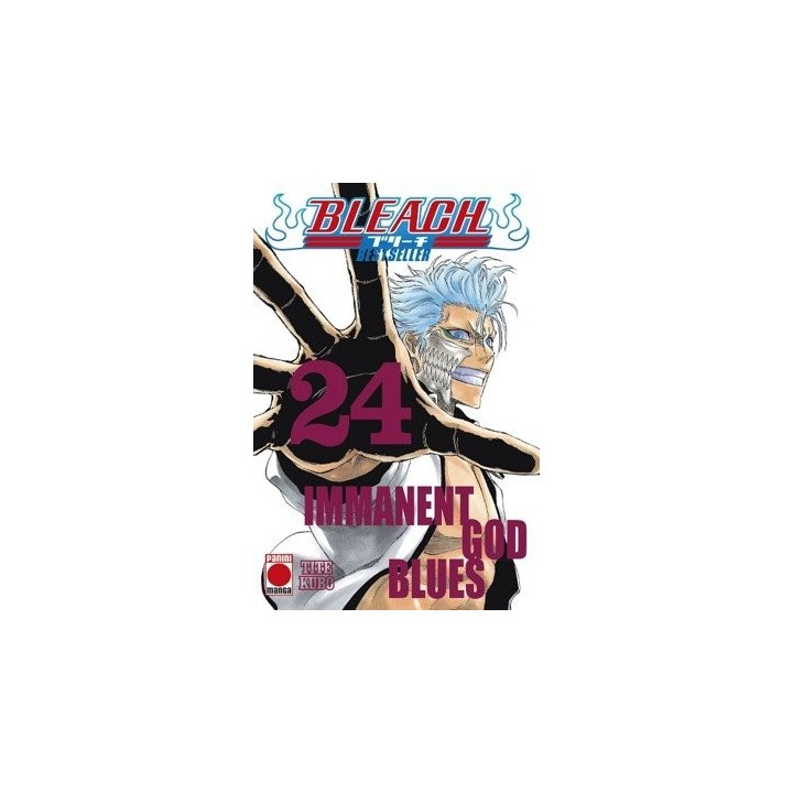 BLEACH BESTSELLER 24
