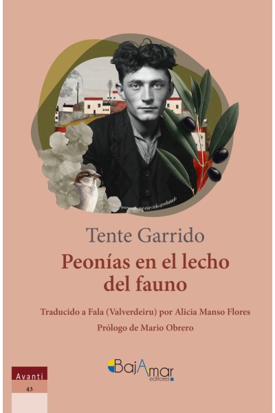 PEONIAS EN EL LECHO DEL FAUNO