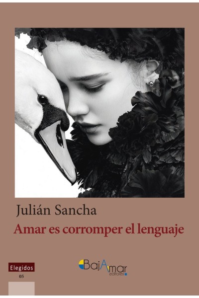 AMAR ES CORROMPER EL LENGUAJE
