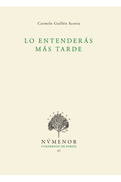 LO ENTENDERAS MAS TARDE