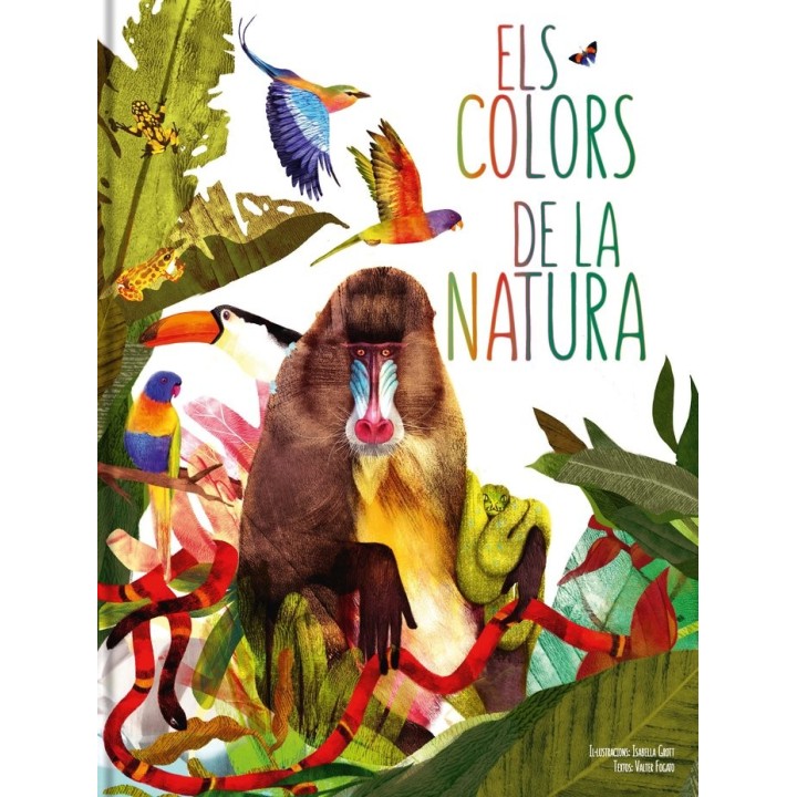 ELS COLORS DE LA NATURA