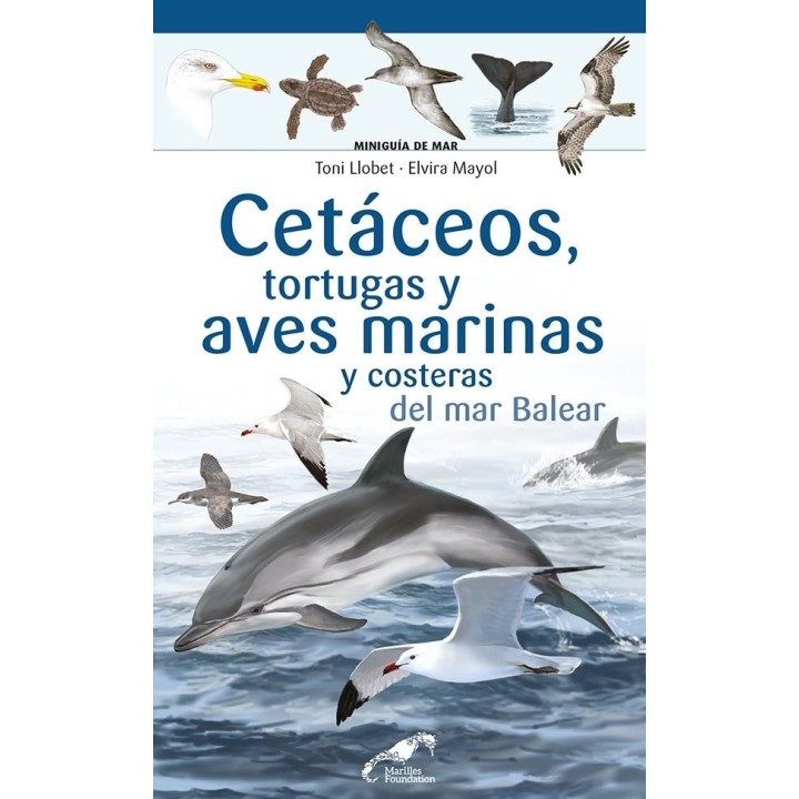 CETACEOS TORTUGAS Y AVES MARINA Y COSTERAS DEL MAR BALEAR