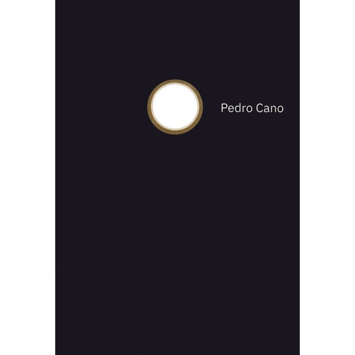 PEDRO CANO CIUDADES ETERNAS LA OBRA PLASTICA COMO HERRAMIE