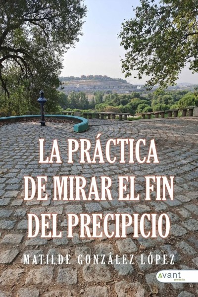 LA PRACITCA DE MIRAR AL FIN DEL PRECIPICIO