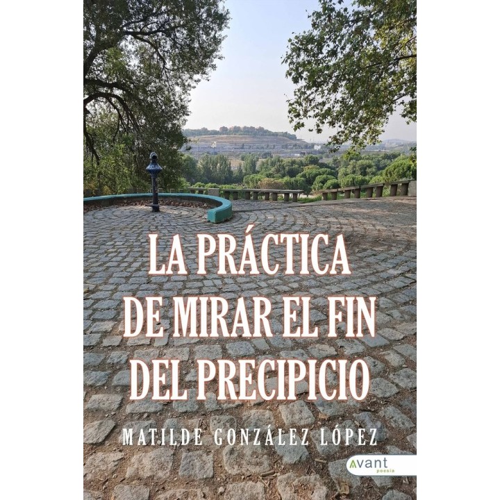LA PRACITCA DE MIRAR AL FIN DEL PRECIPICIO