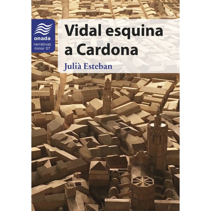 VIDAL ESQUINA A CARDONA