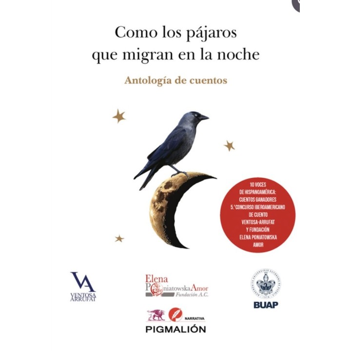 COMO LOS PAJAROS QUE MIGRAN EN LA NOCHE