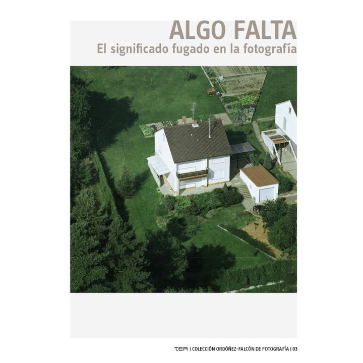 ALGO FALTA EL SIGNIFICADO FUGADO EN LA FOTOGRAFIA