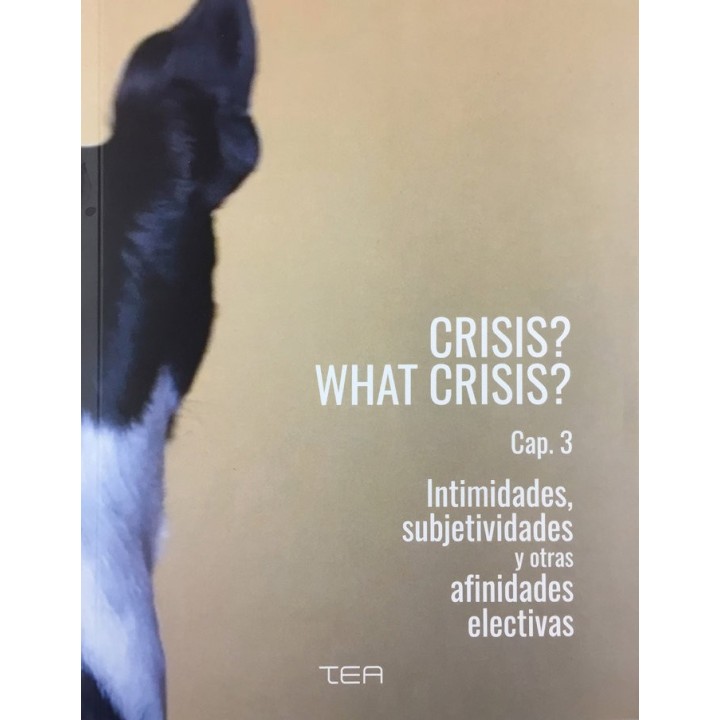 CRISIS WHAT CRISIS CAP 3 INTIMIDADES SUBJETIVIDADES Y