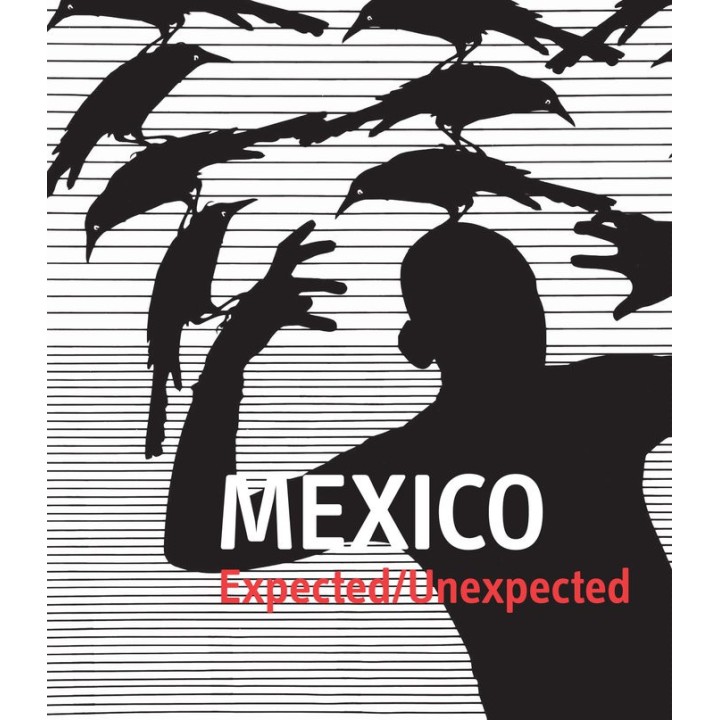MEXICO EXPECTED UNEXPECTED