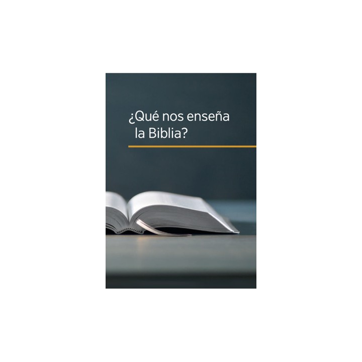 Que nos enseña la biblia?