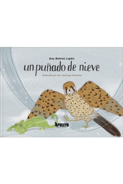 UN PUÑADO DE NIEVE