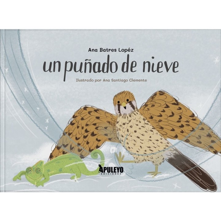 UN PUÑADO DE NIEVE