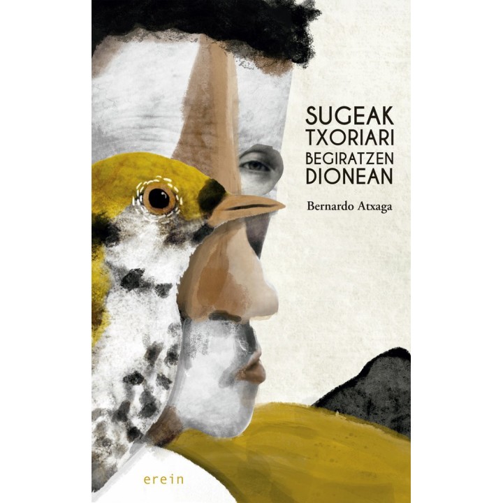 SUGEAK TXORIARI BEGIRATZEN DIONEAN