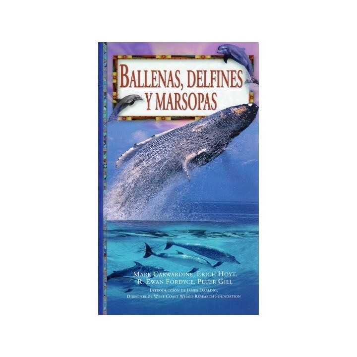 BALLENAS DELFINES Y MARIPOSAS GF