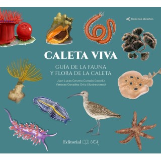 CALETA VIVA GUIA DE LA FAUNA Y FLORA DE LA CALETA