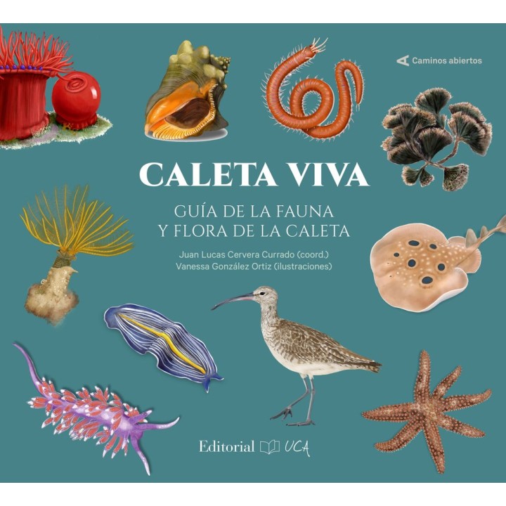 CALETA VIVA GUIA DE LA FAUNA Y FLORA DE LA CALETA