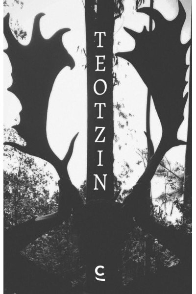 TEOTZIN