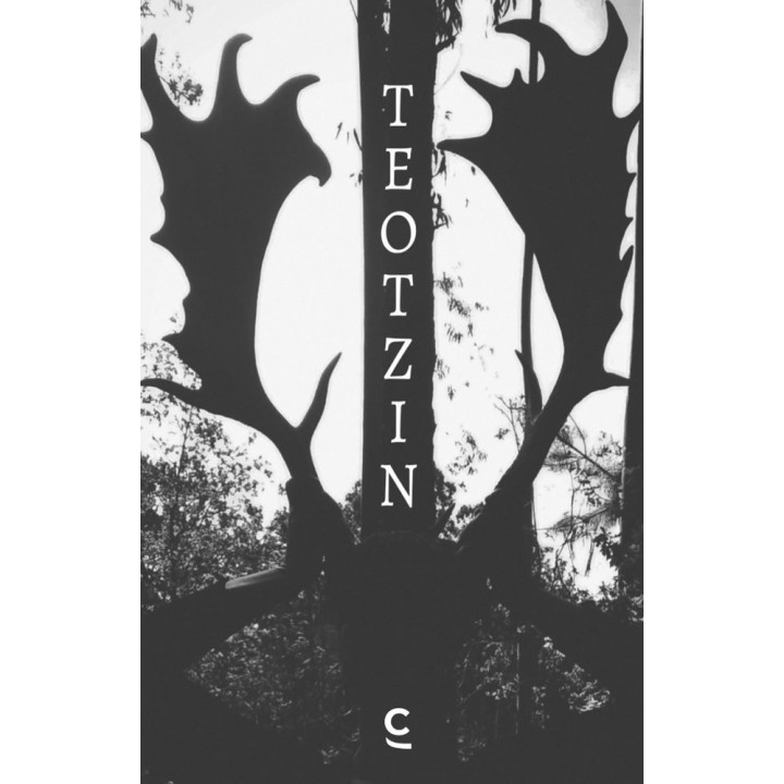 TEOTZIN